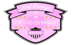 Xcel Bronze Top 100 Gymnast