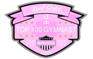 Xcel Gold Top 100 Gymnast